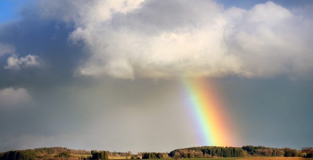 The Answer to SF Giants’ Rainbow Blunder